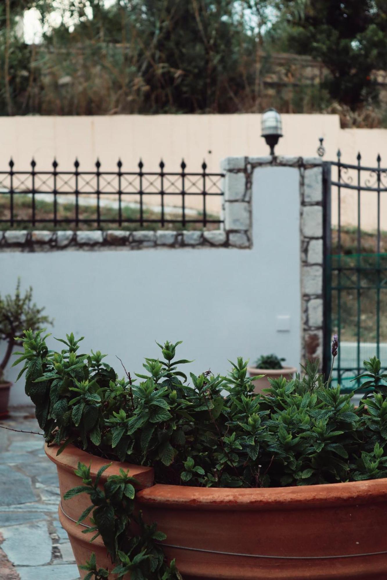 Villa Elea Apartments Spilia  Bagian luar foto