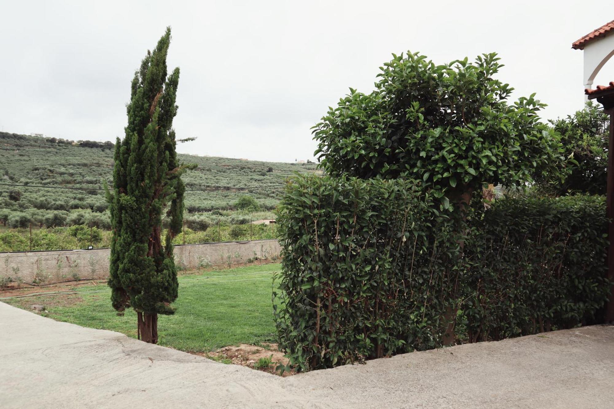 Villa Elea Apartments Spilia  Bagian luar foto