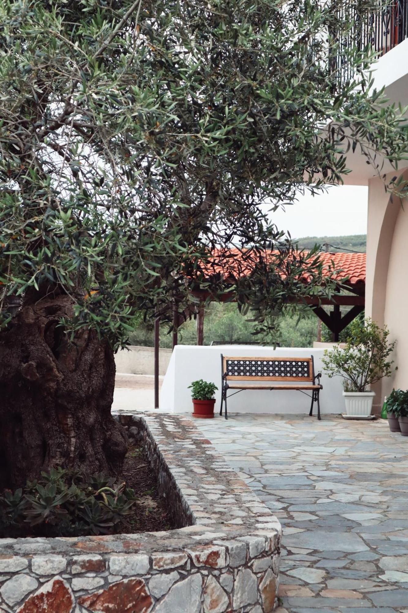 Villa Elea Apartments Spilia  Bagian luar foto
